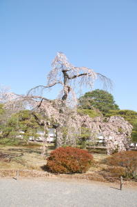 E䏊̍